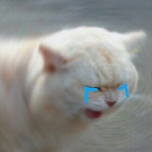 Profile picture of Meiroseee